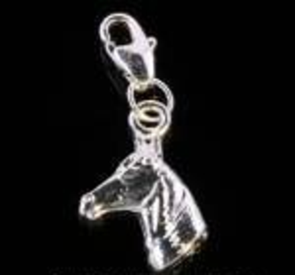 Be-Charmed Losse Verzilverd Charm Paardenhoofd-hals