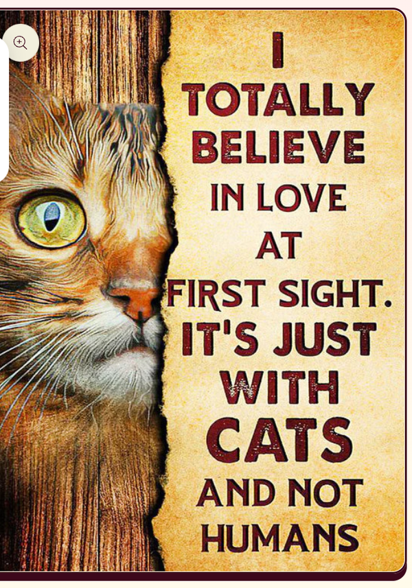 Diamond Painting Cat Beige 20x30