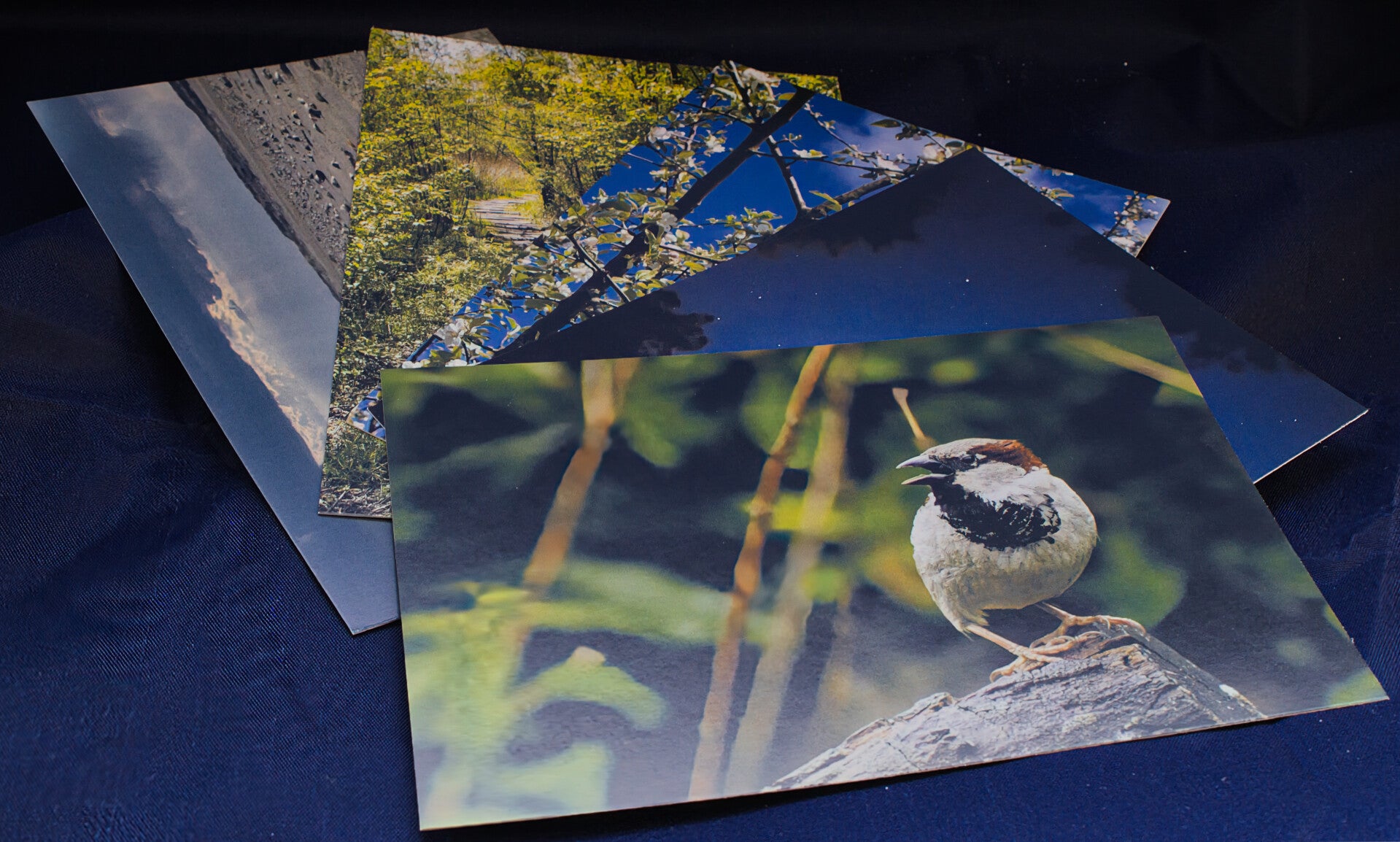 Pakket van 5 designs