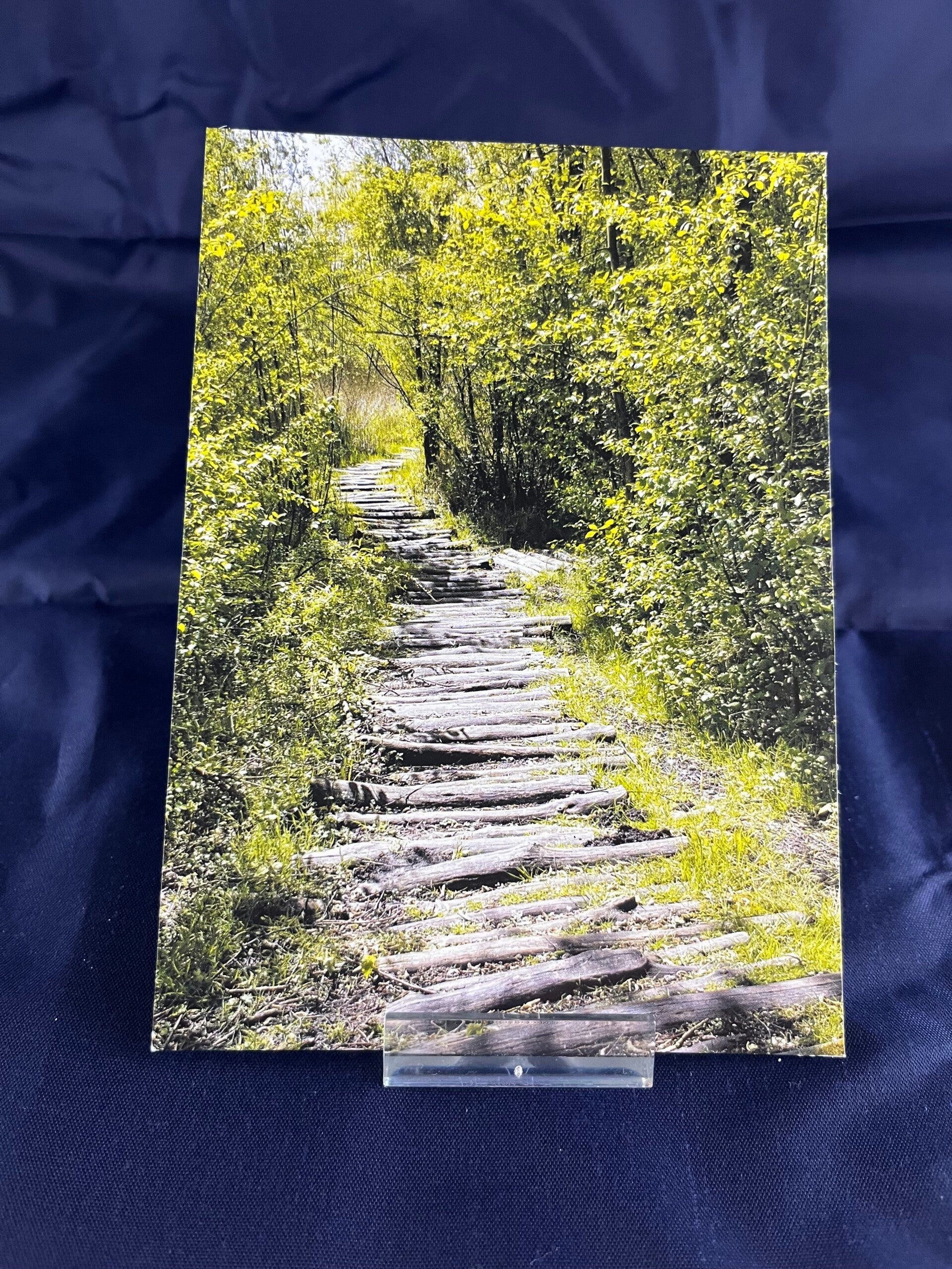 Ansichtkaart pad door het bos