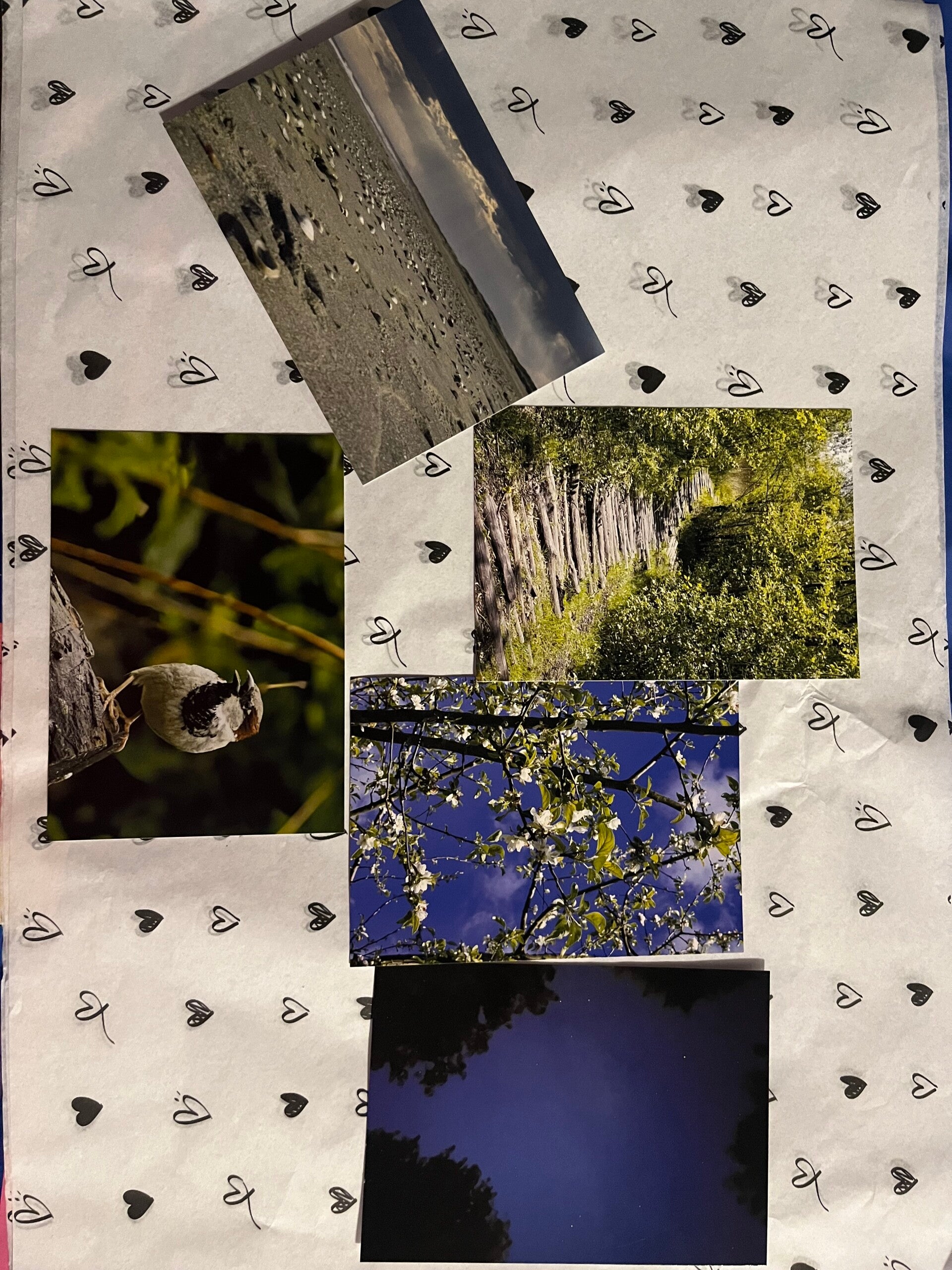 Ansichtkaarten natuur