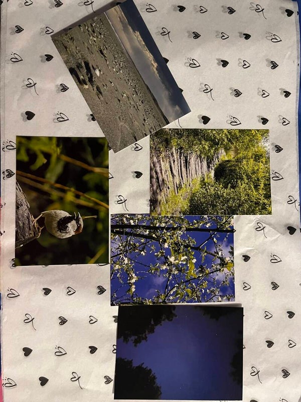 Ansichtkaarten natuur
