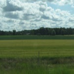 camper27-06-2012001.jpg