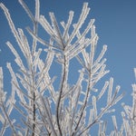 IMG_1493.jpg