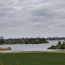 1000001811-standard.jpg