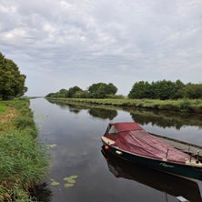 1000002462-standard.jpg