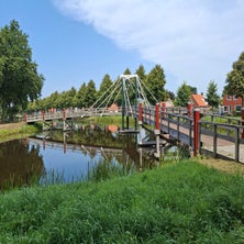 1000002469-standard.jpg