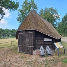 1000002566-standard.jpg