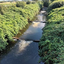 1000002571-standard.jpg