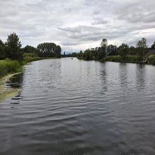 1000002615-standard.jpg