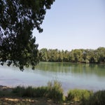 Tournus008.jpg