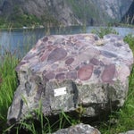 IMG_4343.jpg