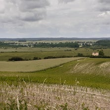20240612_105755-standard.jpg