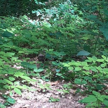 20240620_153006-standard.jpg