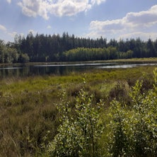 20240625_162137-standard.jpg