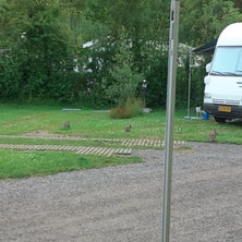 20240625_212241-standard.jpg