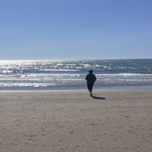 20240928_121209-standard.jpg