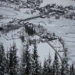 IMG_1487.jpg