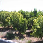Spanje2016089.jpg