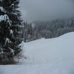 IMG_3628.jpg