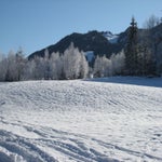 IMG_1532.jpg