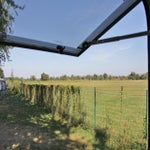 Tournus2002.jpg