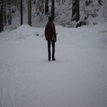 IMG_1481.jpg