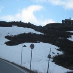 IMG_4309.jpg