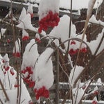 IMG_3644.jpg