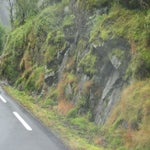 IMG_4364.jpg