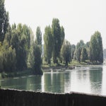 Tournus005.jpg