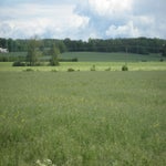 IMG_4264.jpg
