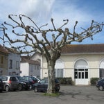Spanje2016008.jpg
