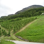 IMG_4321.jpg