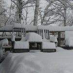 IMG_3645.jpg