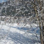 Weissensee2011010.jpg