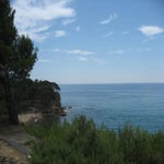 camper21-06-2012009.jpg