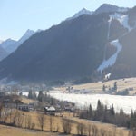 weissenee2016a003.jpg