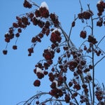 IMG_1518.jpg