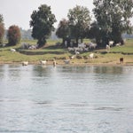 Tournus007.jpg