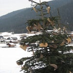 Weissensee2011005.jpg