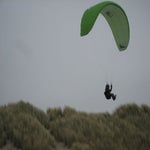 Renessemei2017010.jpg