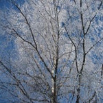 Weissensee2011008.jpg