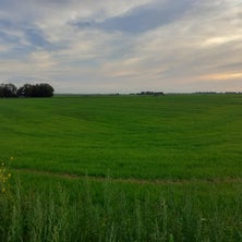20230904_195352.jpg