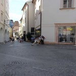 IMG_0232.jpg