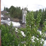 IMG_4285.jpg