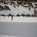 IMG_1514.jpg