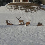 IMG_3600.jpg