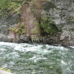 IMG_4328.jpg