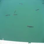 camper17-06-2012004.jpg